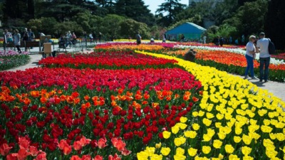 Экскурсия из Алушты: Никитский ботанический сад 🌸🌴