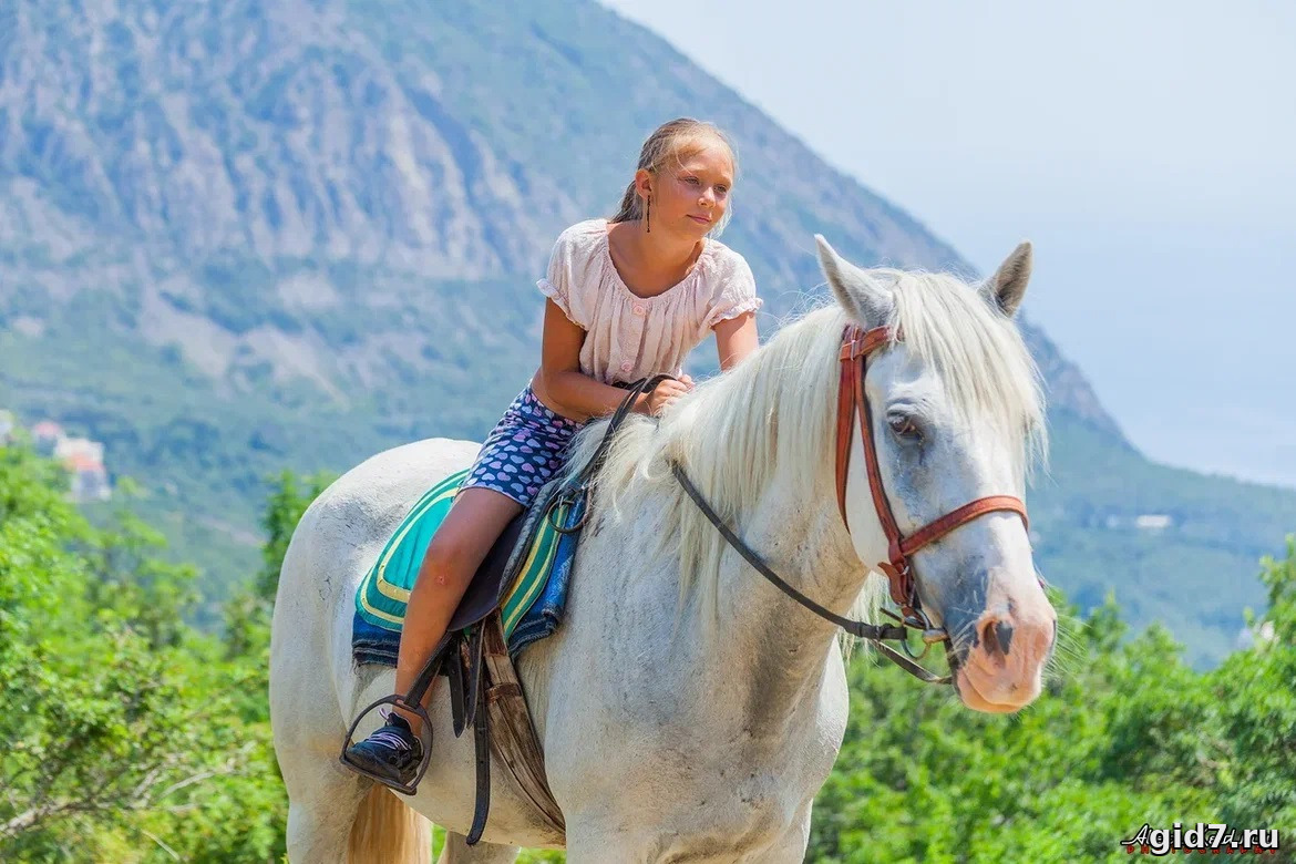 🐎🌄 Конная прогулка в Ялте: КОННАЯ МЕДИТАЦИЯ