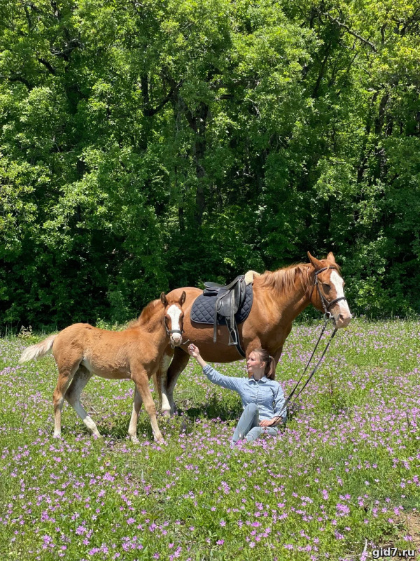 🐎🌄 Конная прогулка в Ялте: КОННАЯ МЕДИТАЦИЯ
