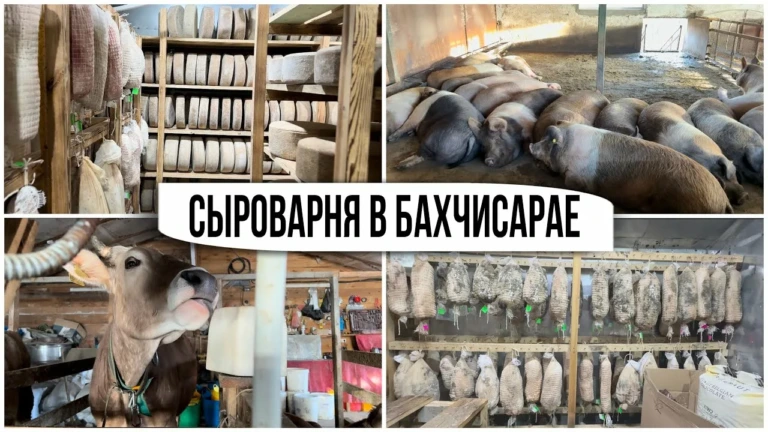 Экскурсии Крыма Ласточкино гнездо 2026: лучшие маршруты и цены