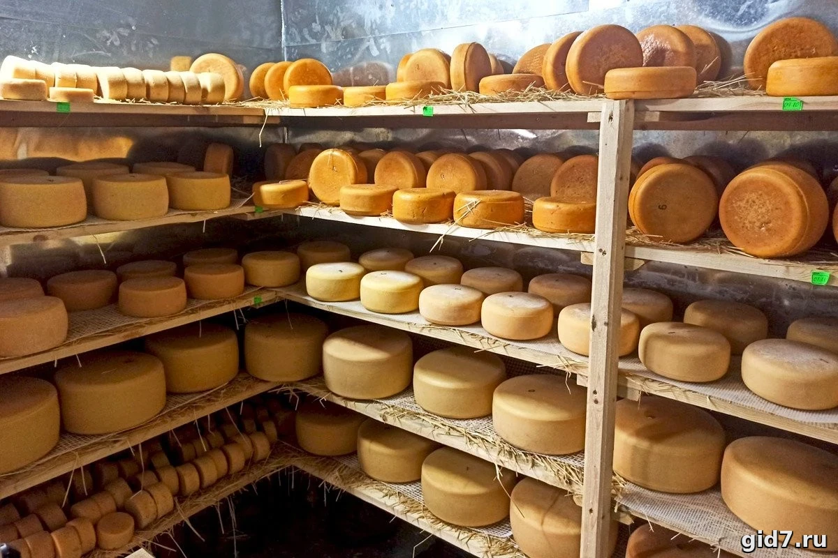 Гастротур из Ялты: 🧀🍷 Бахчисарай — Сыры, Вина & Татарская кухня!