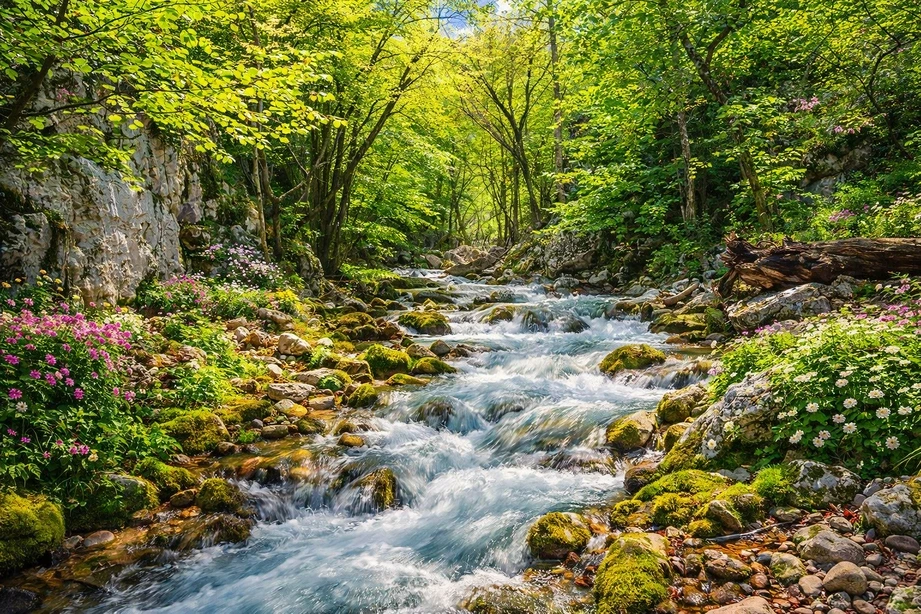 🏔️ Экскурсия «Таврическая Швейцария» из Ялты