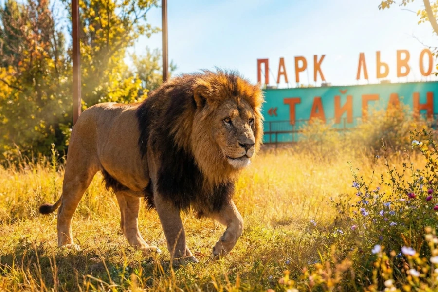 Экскурсия: Японский сад » Шесть чувств». Отель Мрия из Гурзуфа