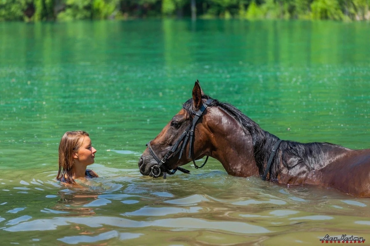 🐎 ФОТОСЕССИИ С ЛОШАДЬМИ  в Алуште