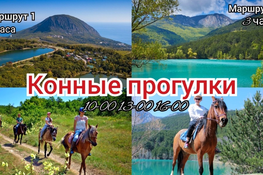 🐎 Конные прогулки в Алуште. Маршрут «Заповедник»