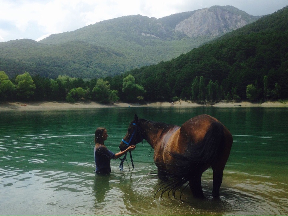 🐎 ФОТОСЕССИИ С ЛОШАДЬМИ  в Алуште