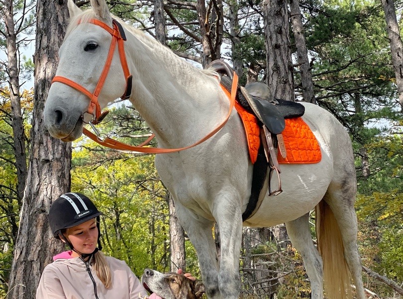🐎 ФОТОСЕССИИ С ЛОШАДЬМИ  в Алуште