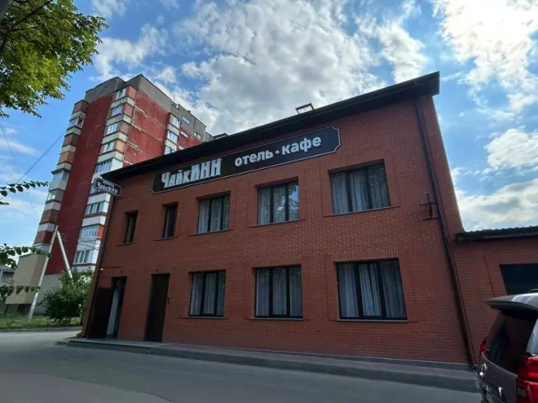 Чайкинн