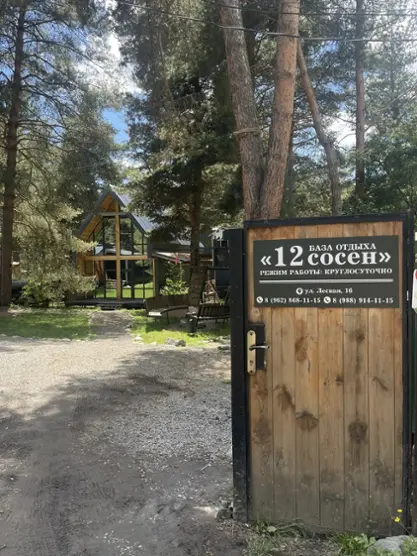 12 Сосен