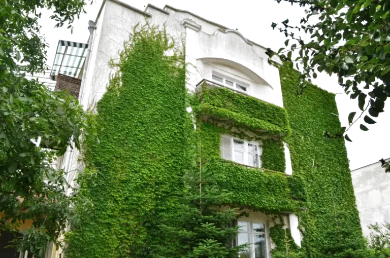 Летний отдых в Архызе — конные прогулки