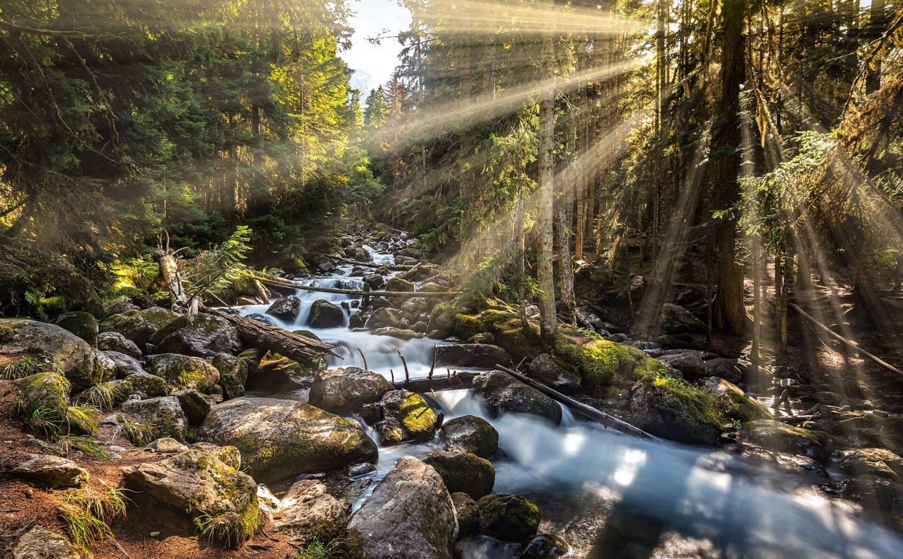 Экскурсия: Услуги — из Ессентуков