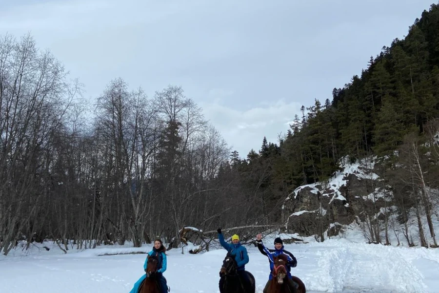 Конная прогулка в заповедник к диким зубрам, 4-5 часов