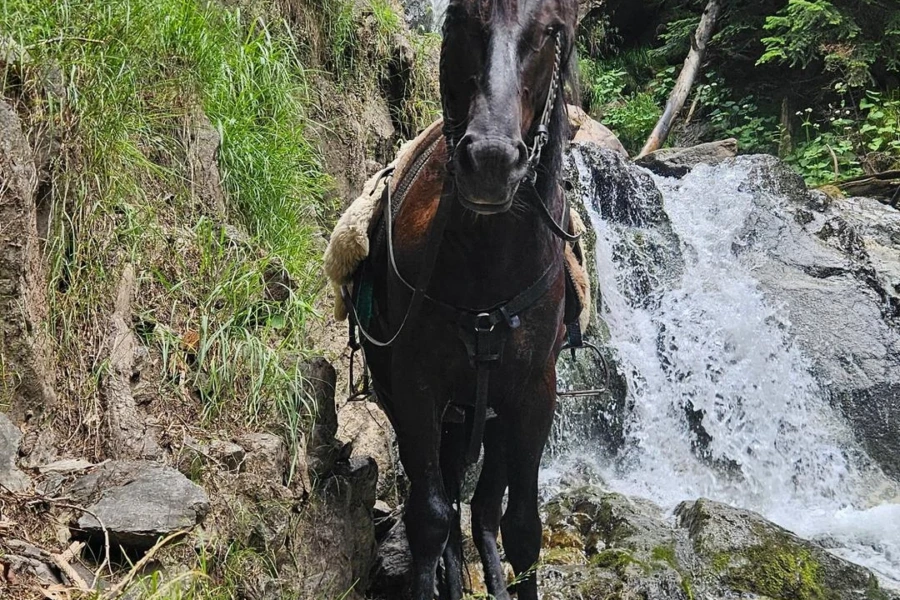 Конная прогулка к водопаду Чигордали, 4-5 часов