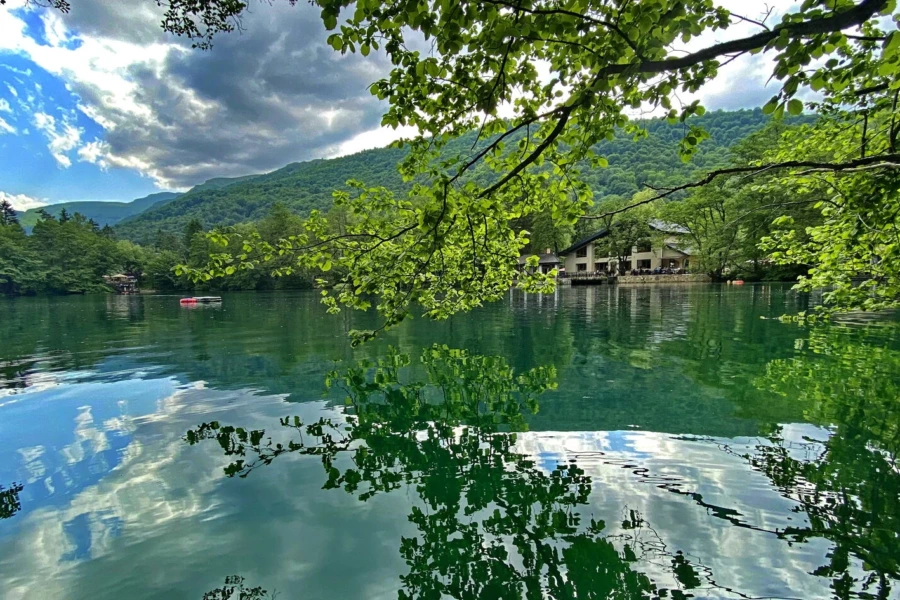 Язык Тролля + Верхняя Балкария из Ессентуков