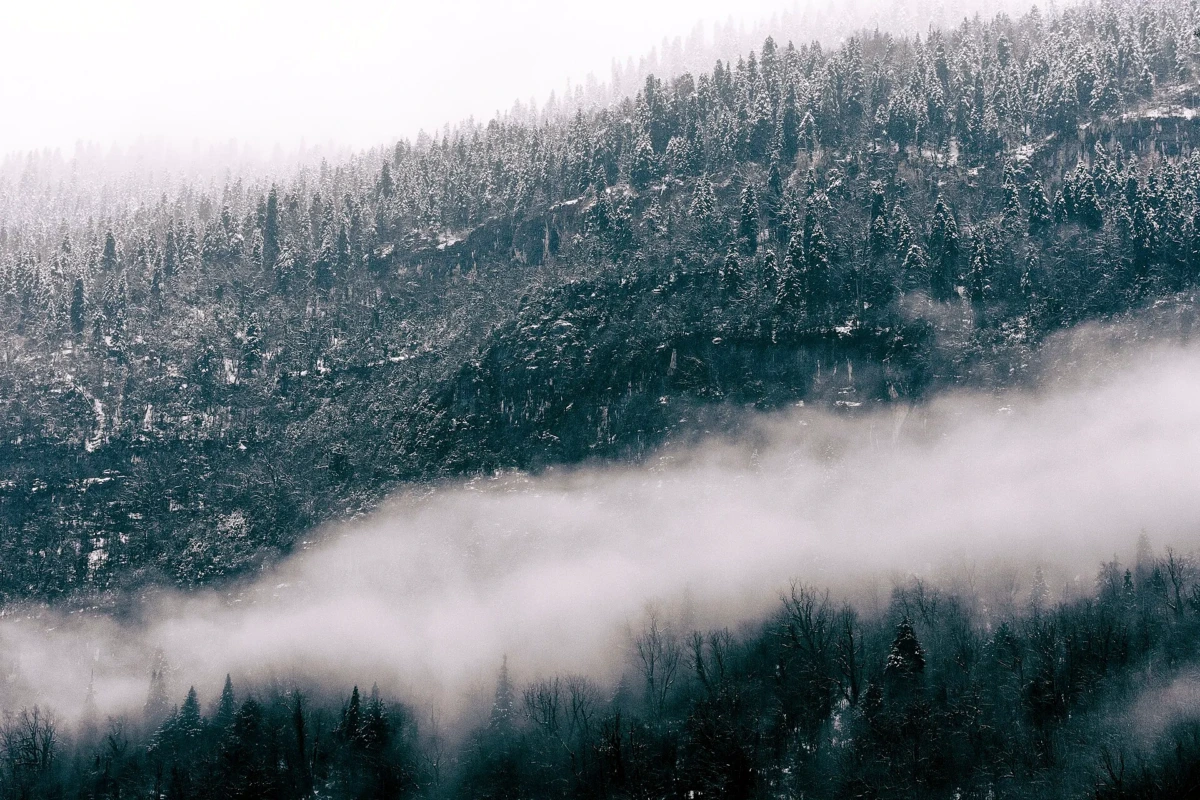 Бзыбское ущелье, Голубое озеро, Новый Афон и Озеро Рица из Гагры
