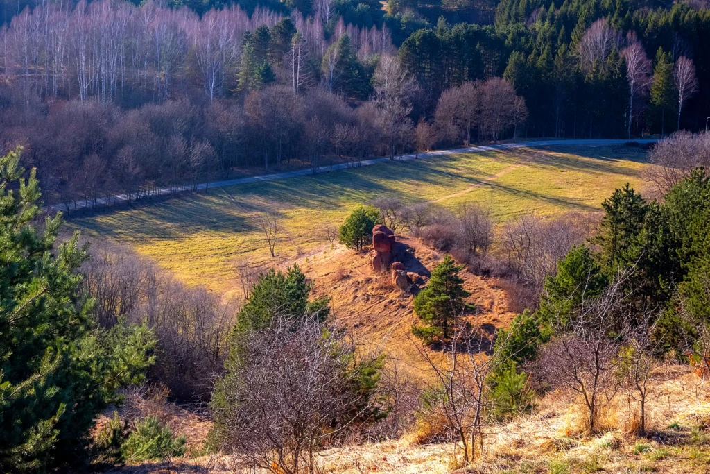 Каменные грибы