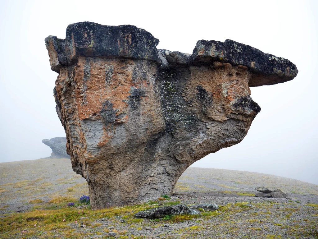 Каменные грибы