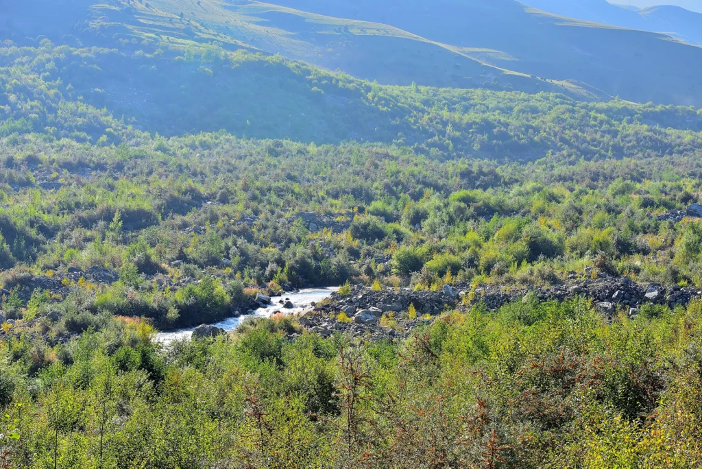 Кармадон
