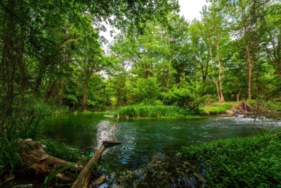 Самурский лес и экраноплан Лунь из Дербента