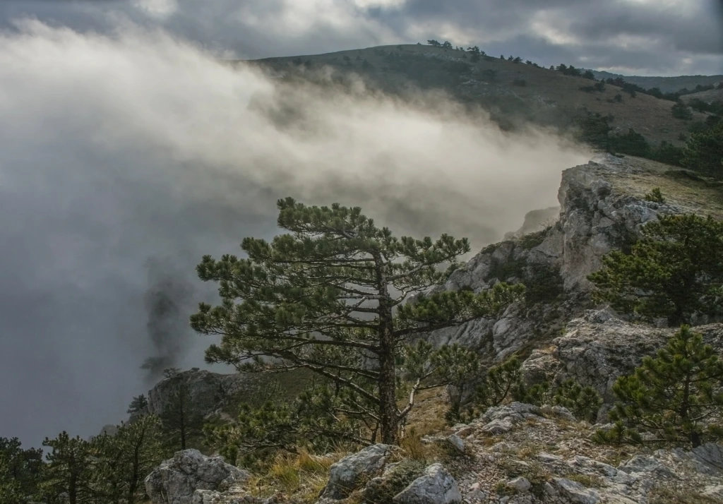 🌫️ Туман над горным хребтом