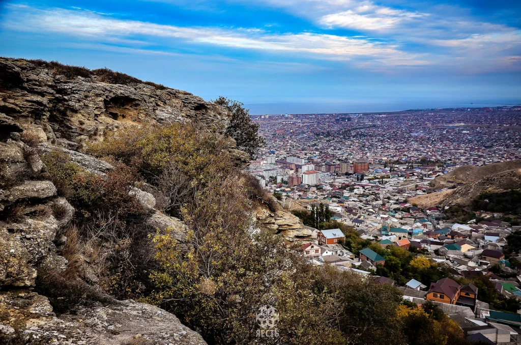 Тарки-Тау