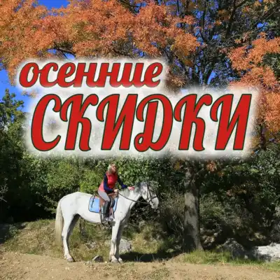 Теперь 2 500₽ вместо 3500₽, продолжительность - 1,5 часа