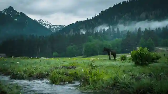 Wild Riders — организатор в Архызе