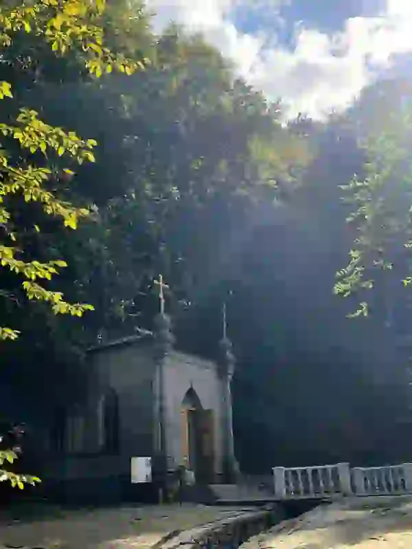 11 октября мы едем в сердце крымских гор — в Национальный парк «Крымский», где среди вековых деревьев и г… — Экскурсии в Черноморском