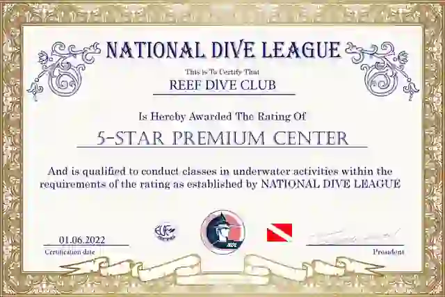Reef Dive Club — организатор в Геленджике