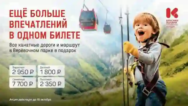 Ещё больше впечатлений в одном билете — Верёвочные парки и картинг в Краснодаре