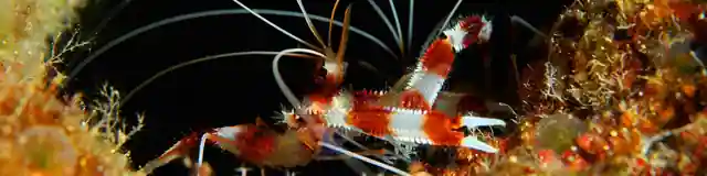 Источник — организатор в Краснодаре