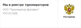 Дельфин — организатор в Сочи