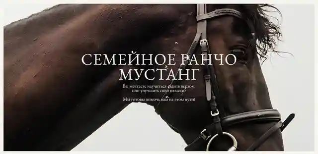 Семейное ранчо Мустанг — организатор в Сочи