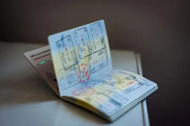 Полетели — организатор в Сочи